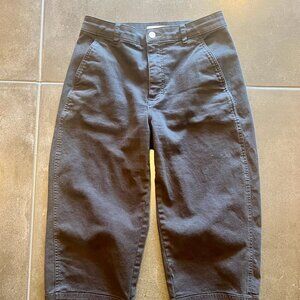 Everlane  Utility Barrel Pant (TALL)